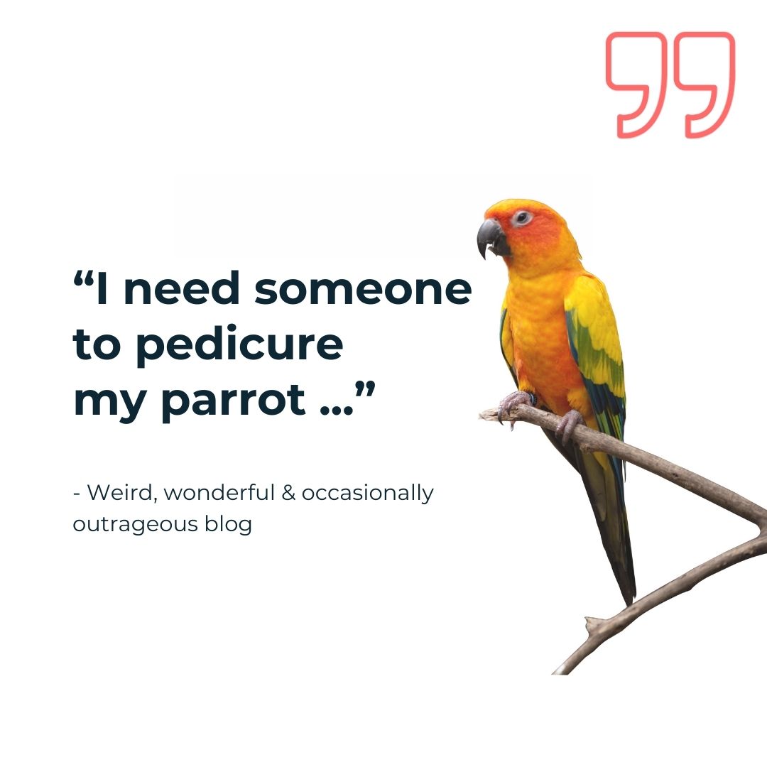 "I need someone to pedicure my parrot..." - Weird, wonderful & occasionally outrageous blog