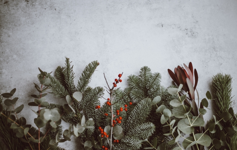 Christmas leaf cuttings