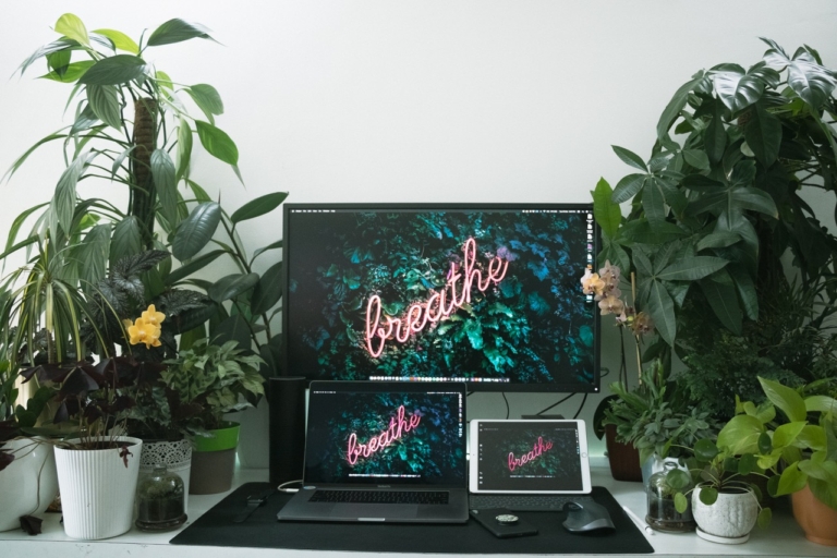 A laptop, iPad and monitor screen all read the word 'breathe' on them surrounded by green plants.