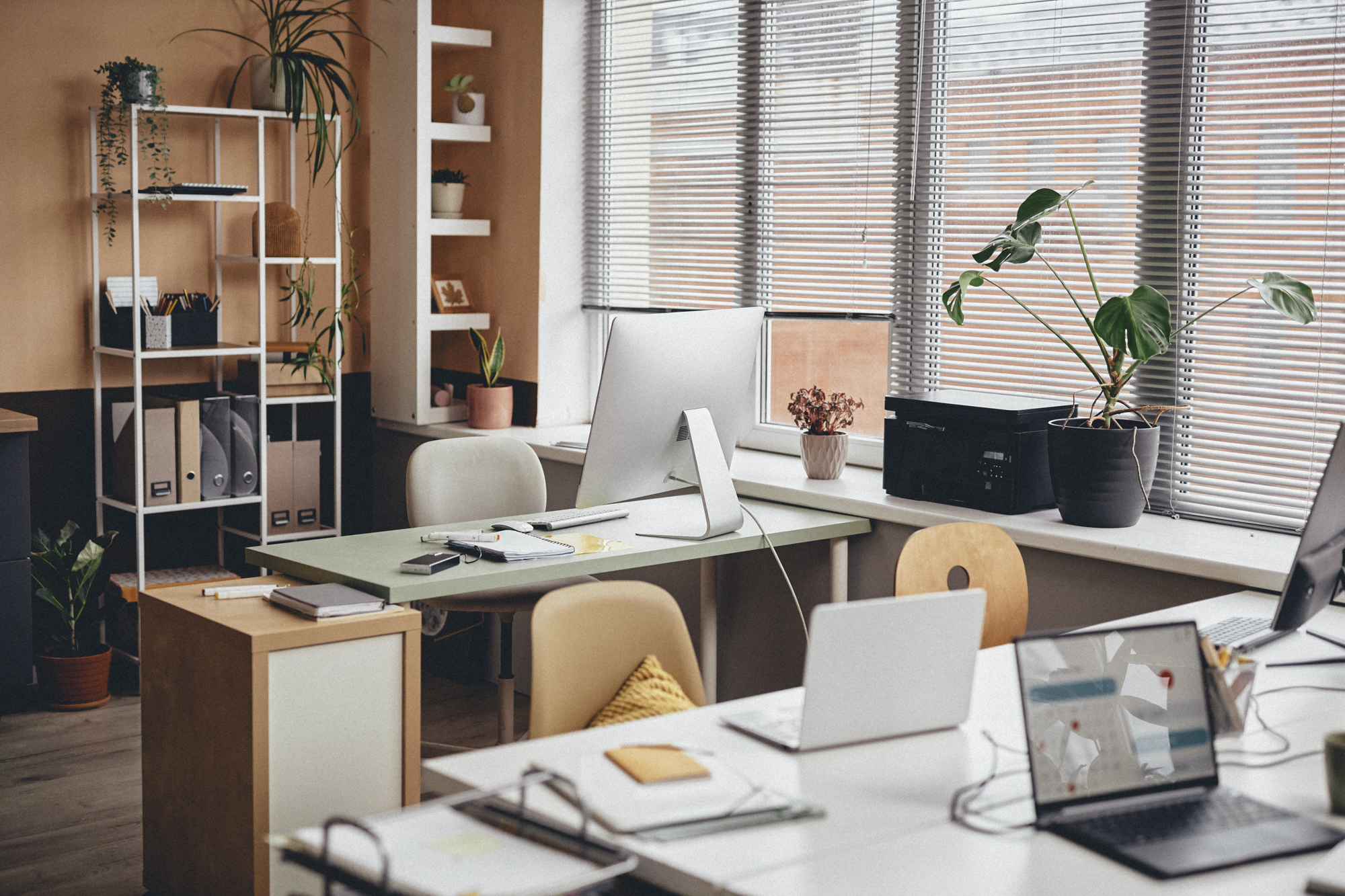 Office Interior with Plants and Coral Pink Wall Modern UK virtual assistant office with laptops and plants reflecting Timpiβs supportive approach.